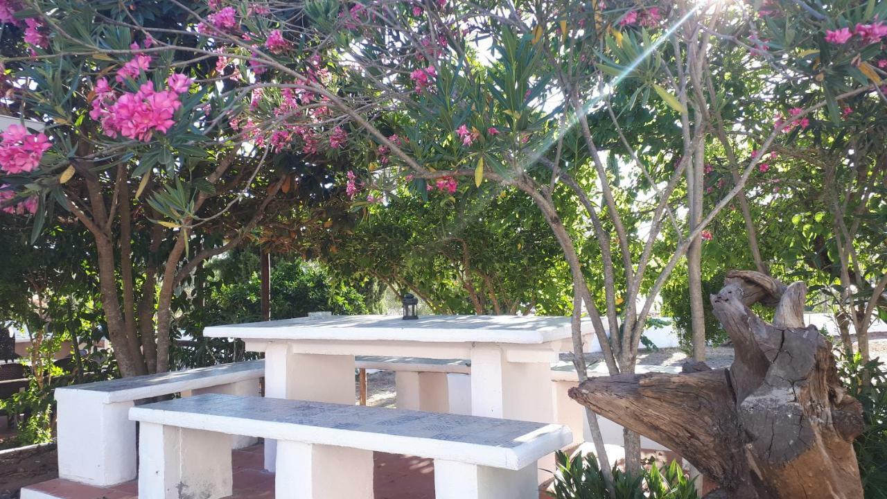Palacete Dos Alcaides Minas de São Domingos Kültér fotó